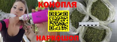 дурь Бердск